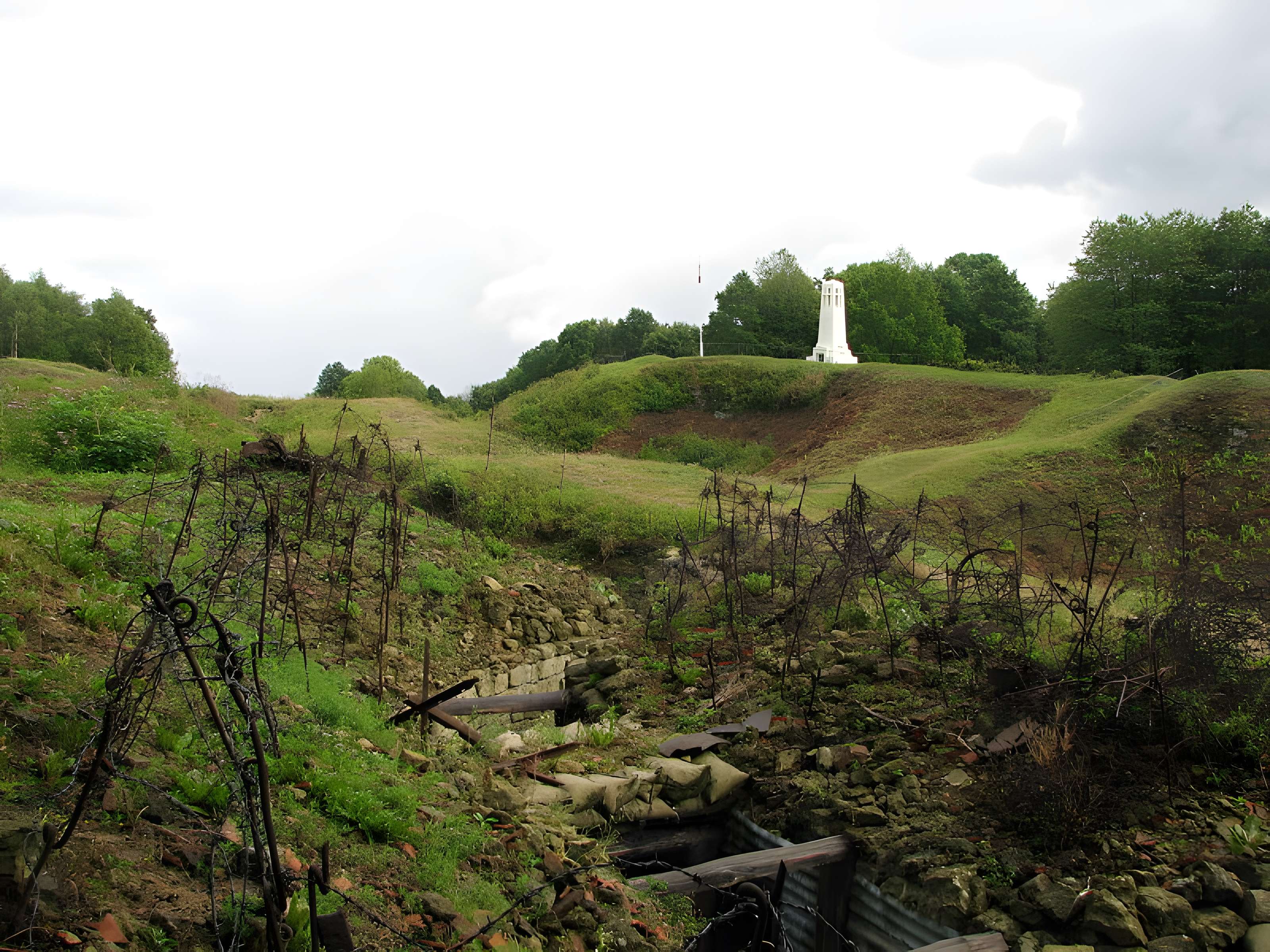 Terrains de zone rouge à Vauquois