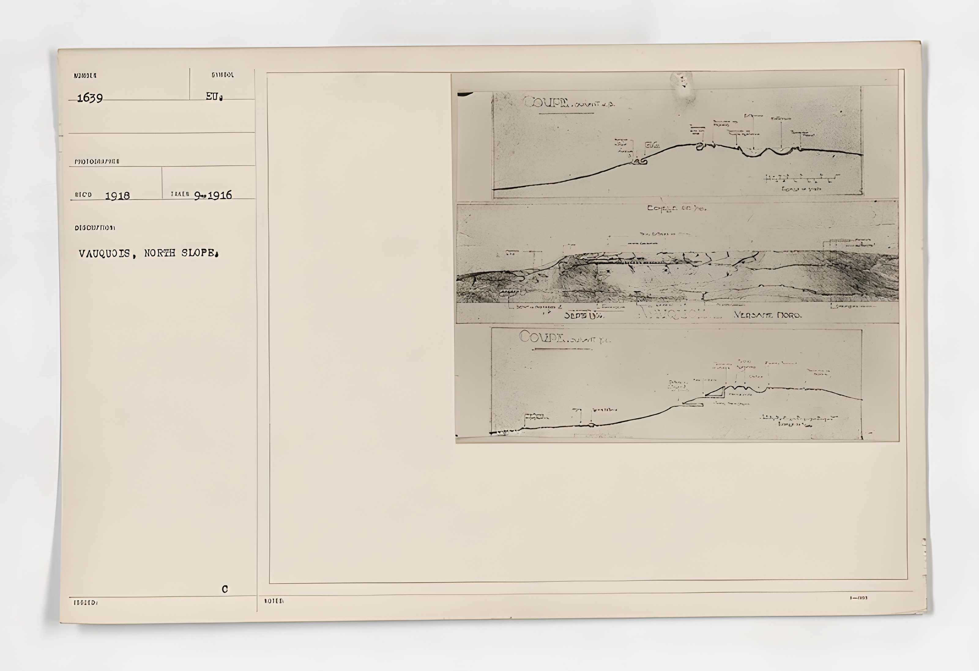 Terrains de zone rouge à Vauquois