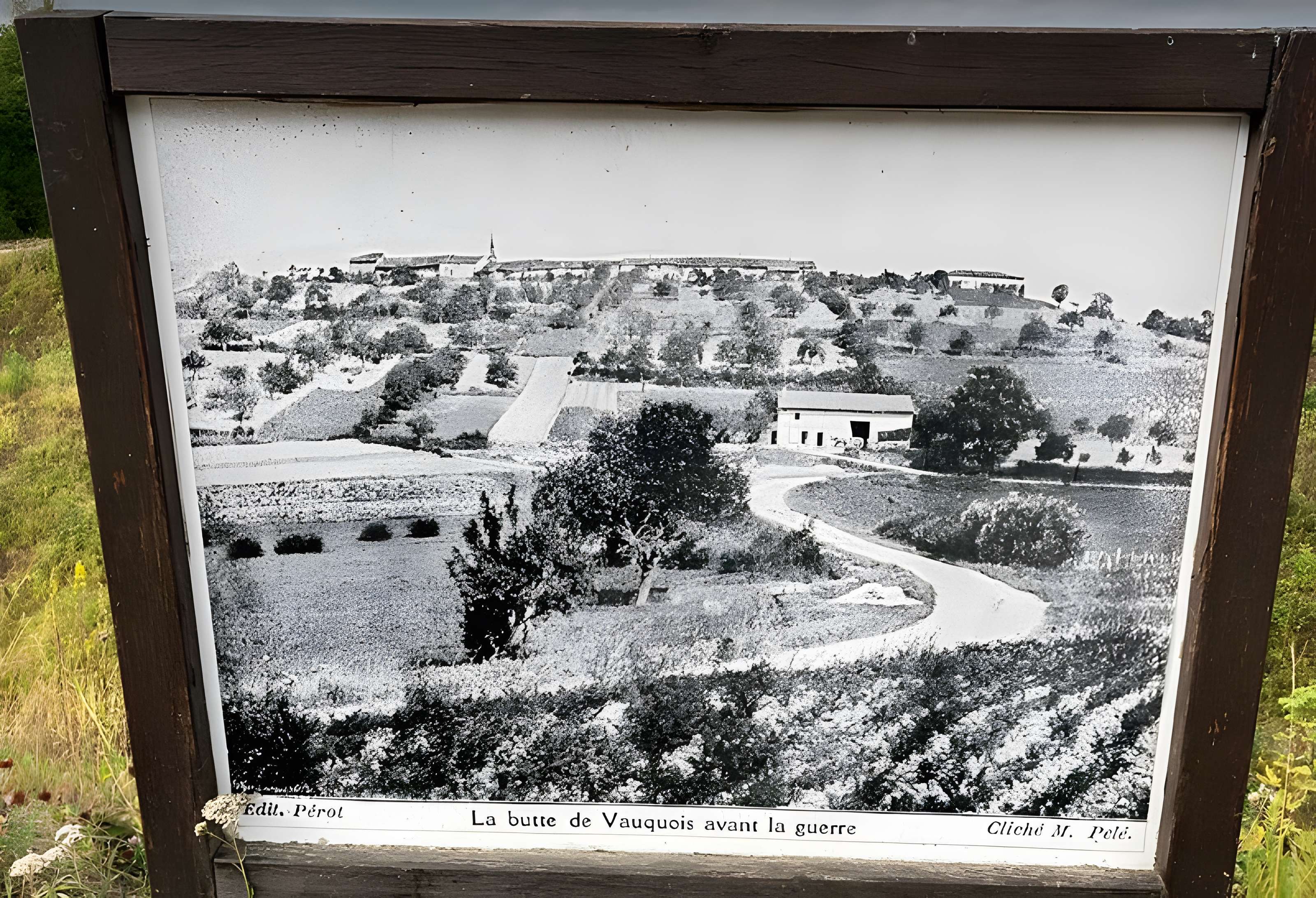 Terrains de zone rouge à Vauquois