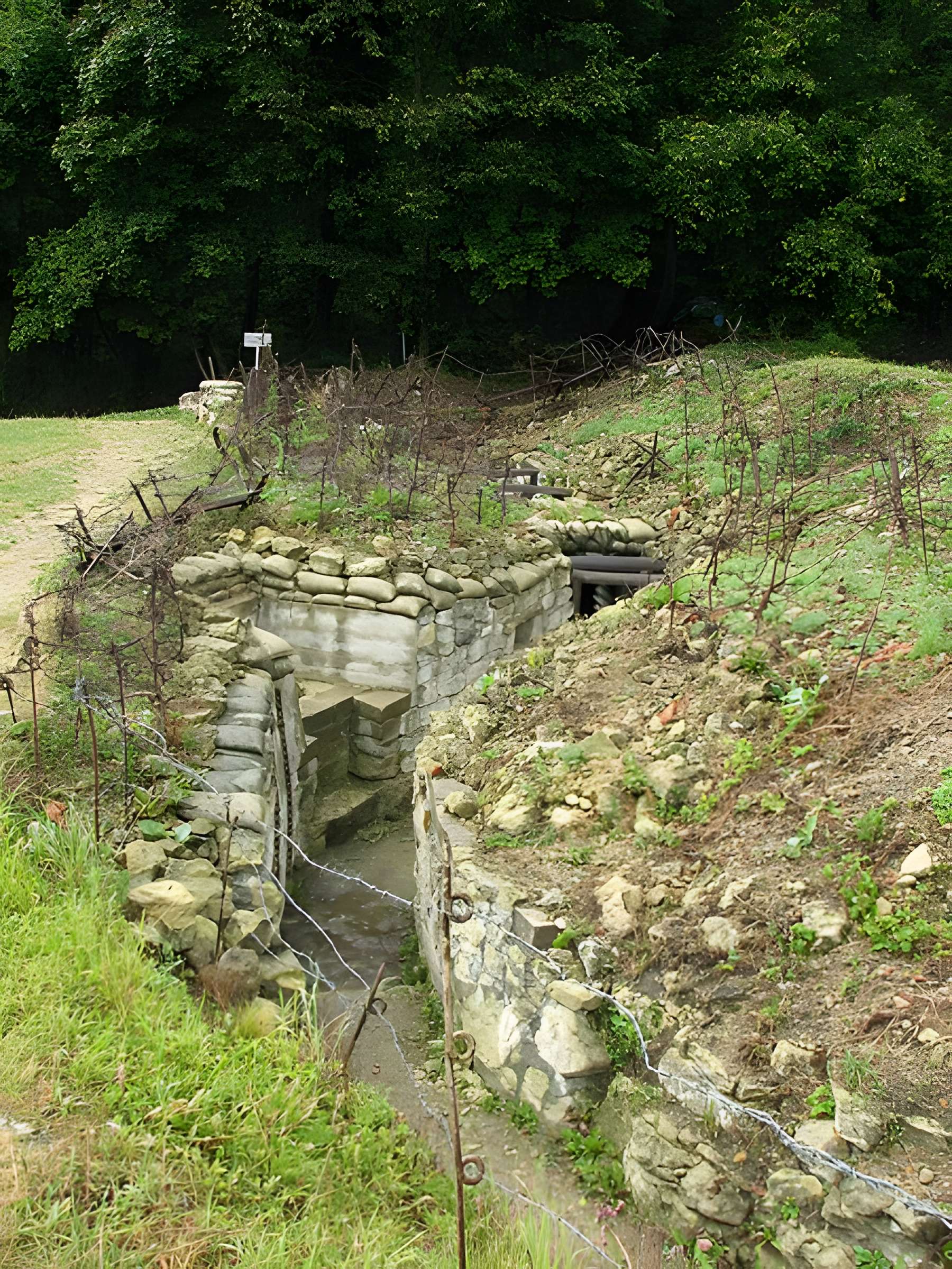 Terrains de zone rouge à Vauquois