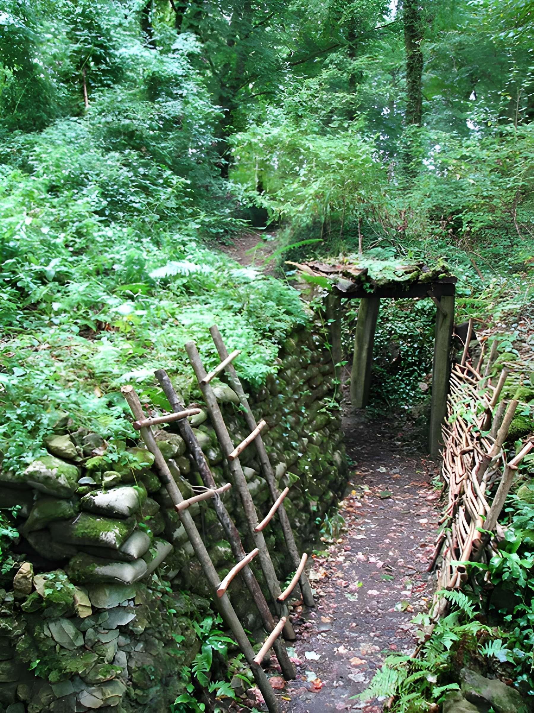 Terrains de zone rouge à Vauquois