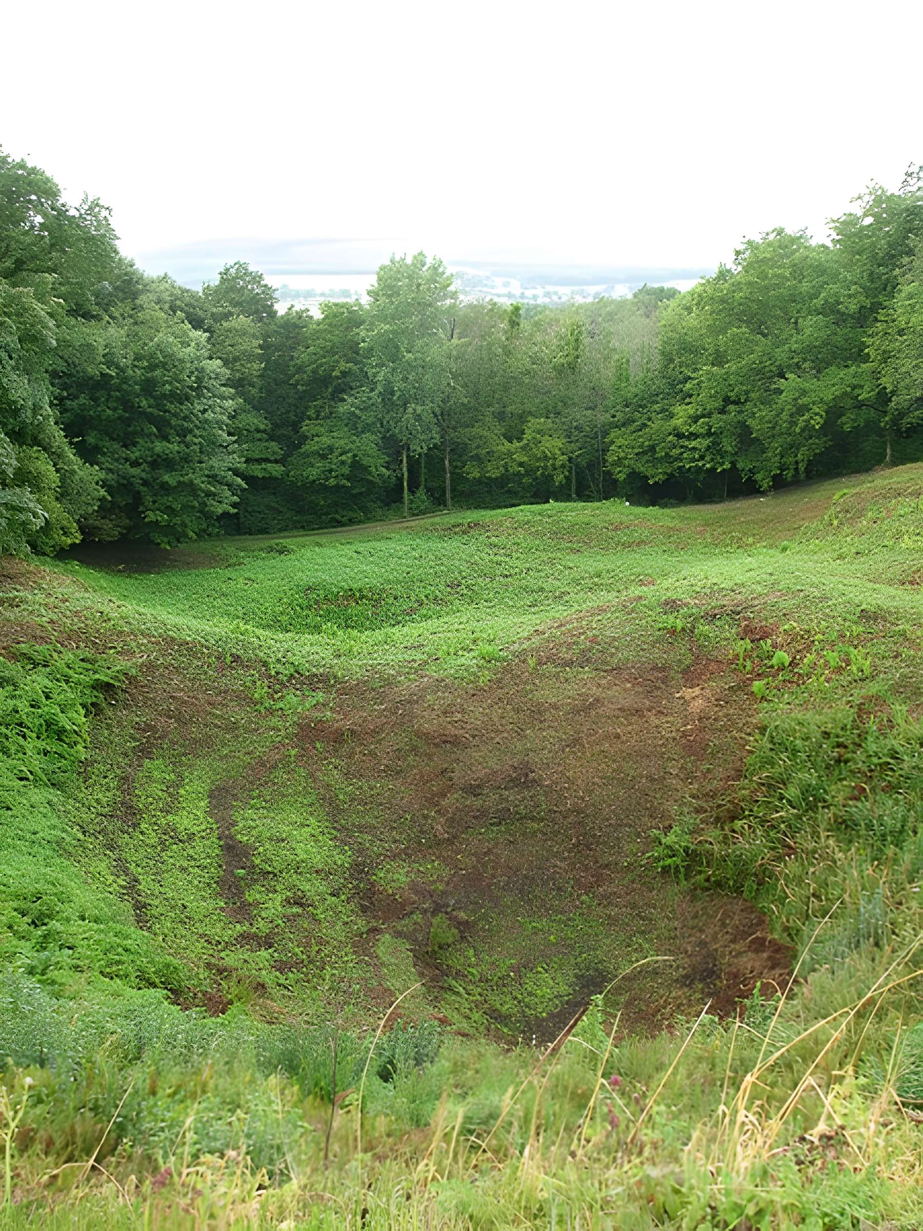 Terrains de zone rouge à Vauquois