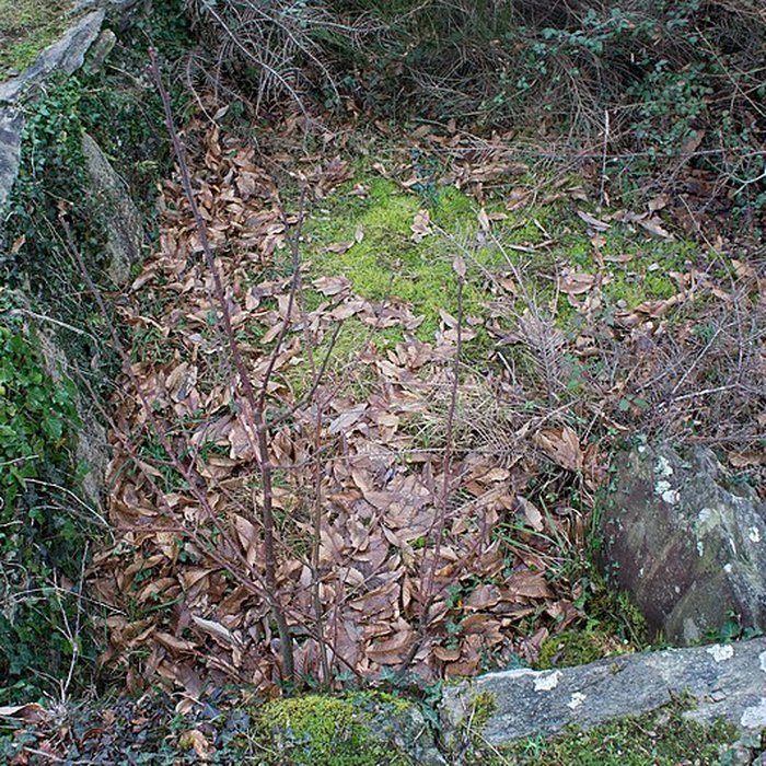 Photo de Tertre de Kerleven de La Forêt-Fouesnant