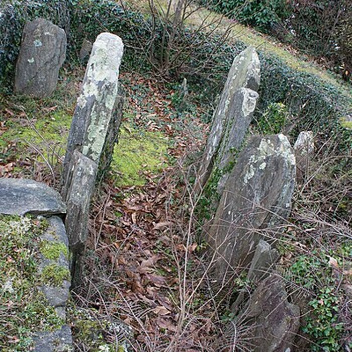 Photo de Tertre de Kerleven de La Forêt-Fouesnant