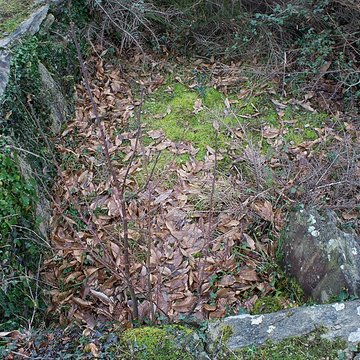 Tertre de Kerleven de La Forêt-Fouesnant