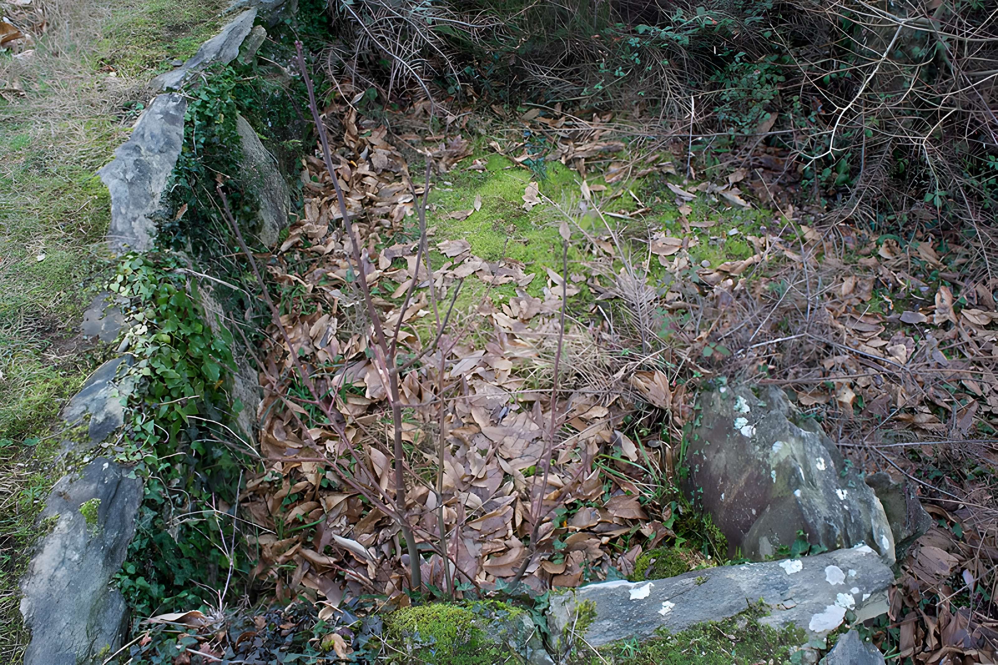 Tertre de Kerleven de La Forêt-Fouesnant