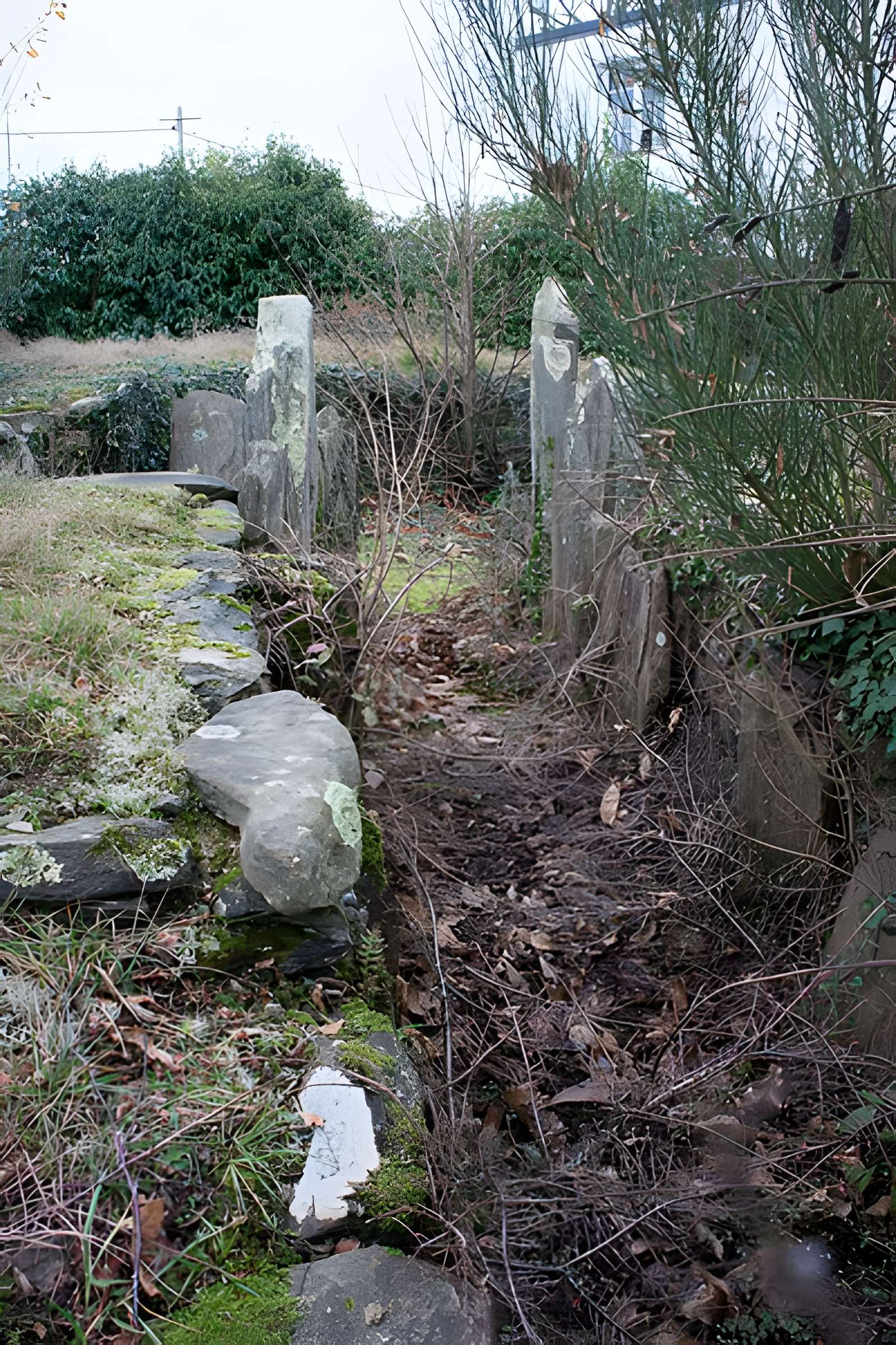 Tertre de Kerleven de La Forêt-Fouesnant