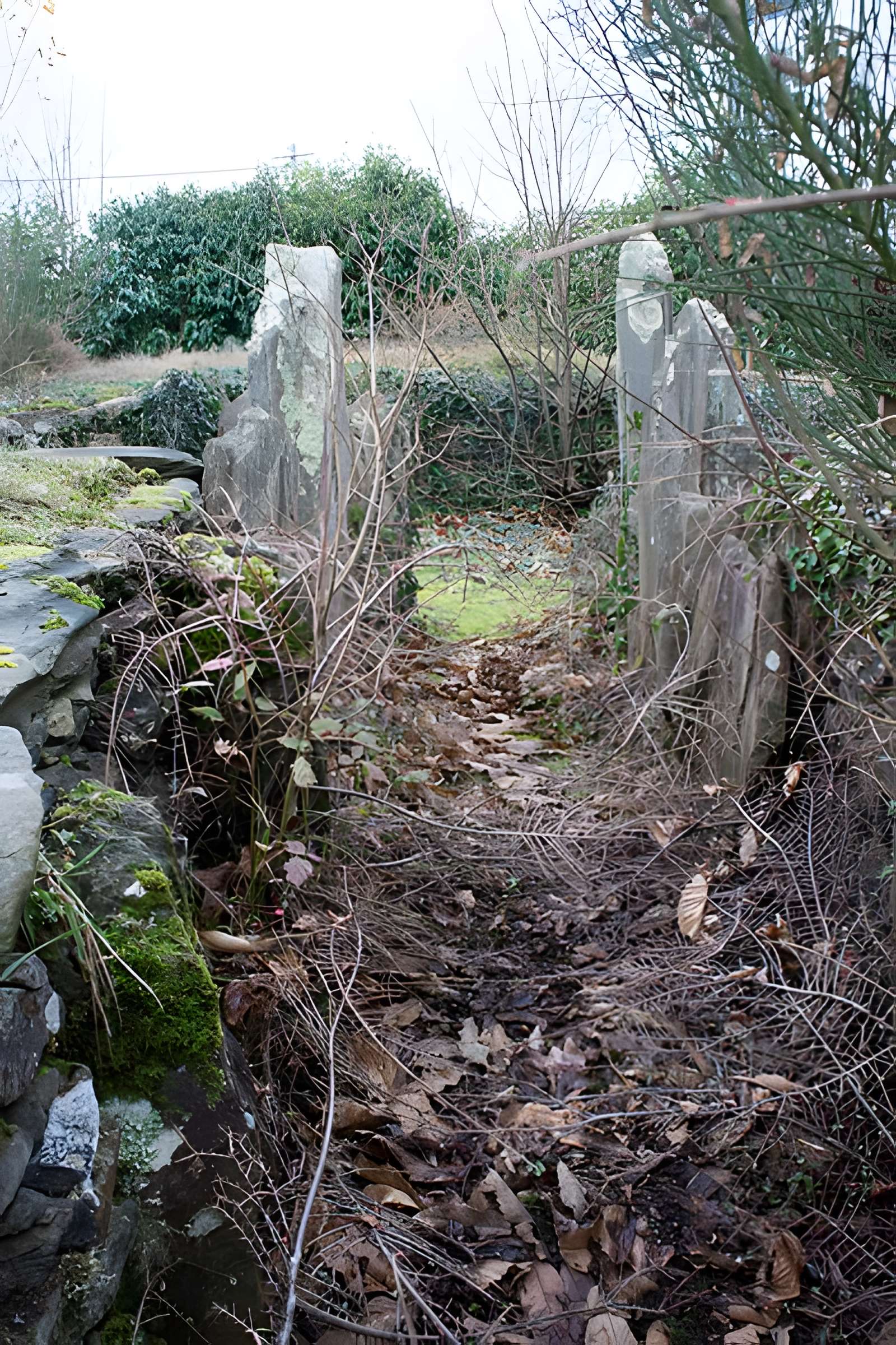 Tertre de Kerleven de La Forêt-Fouesnant
