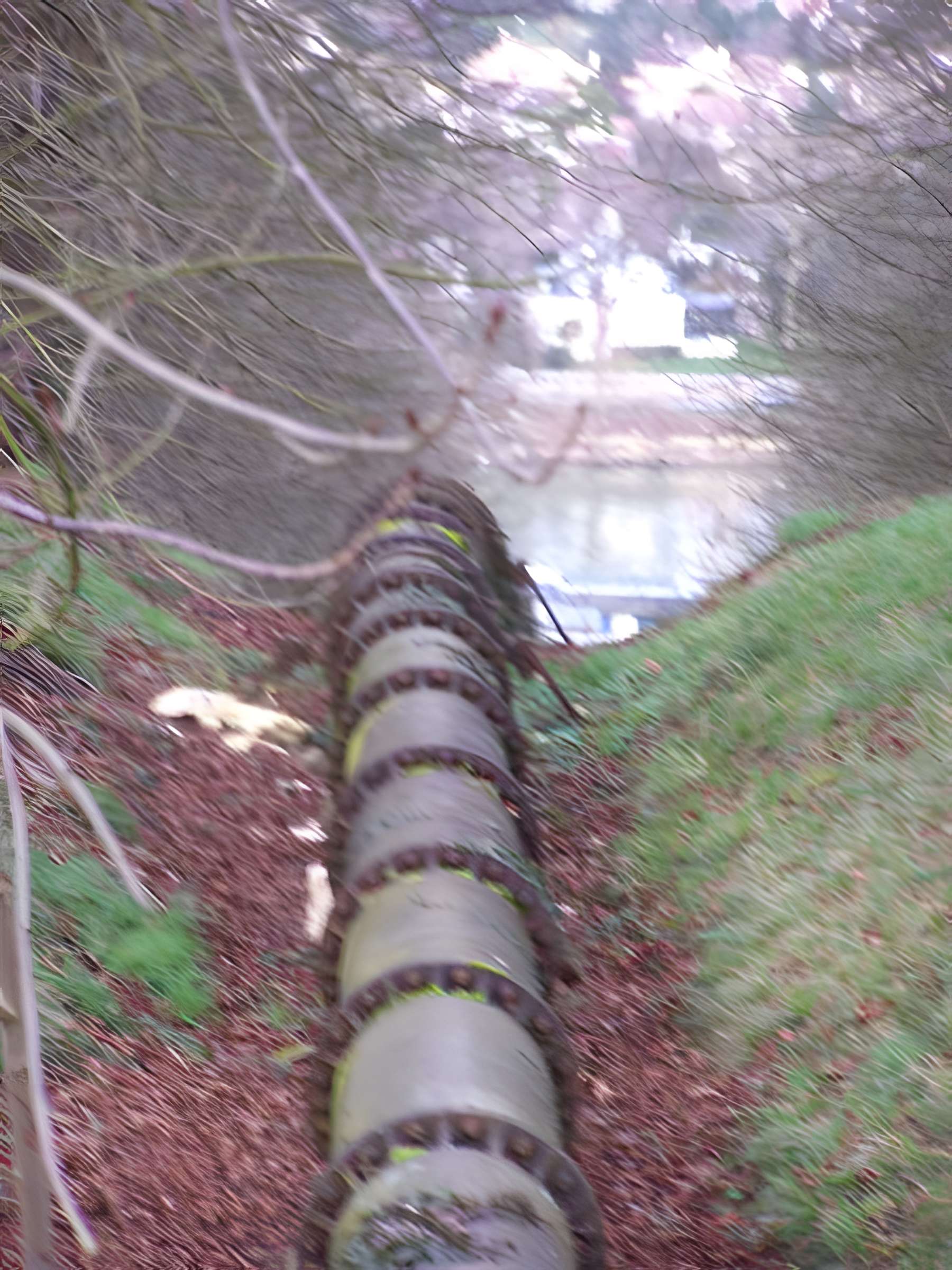 Bâtiments de la machine de Marly