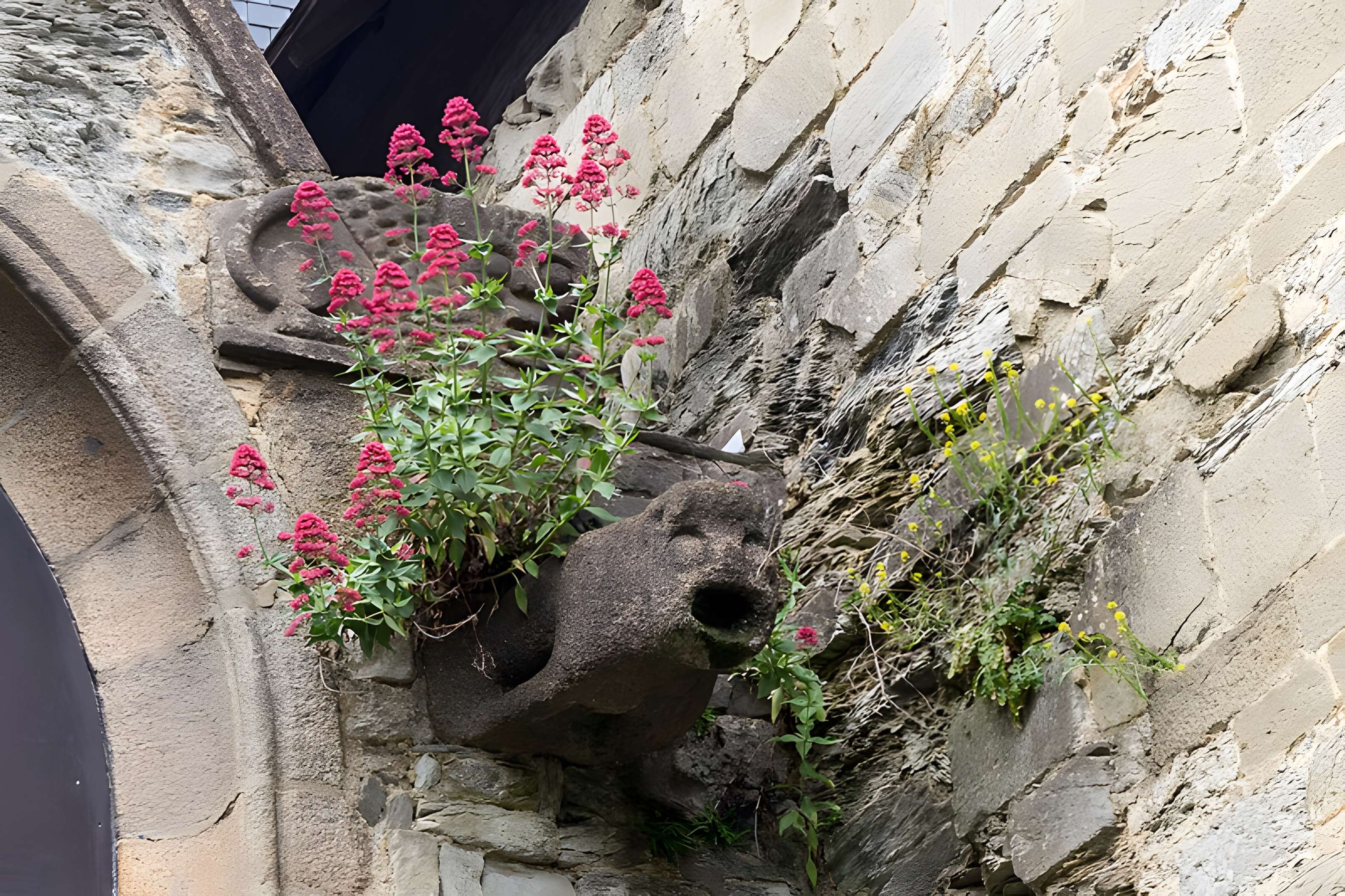 Théâtre du Vieux Saint-Étienne à Rennes