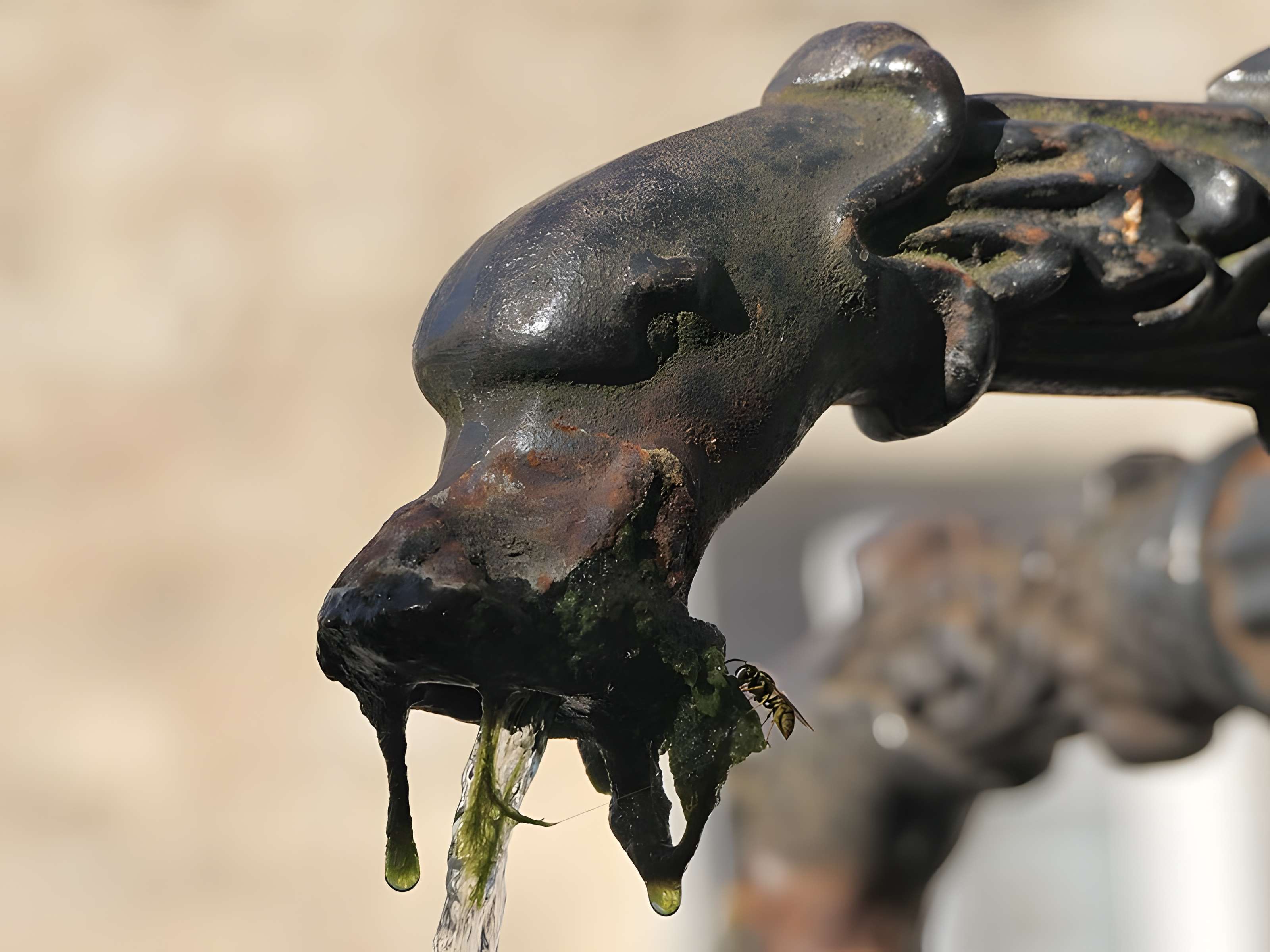 Mairie-lavoir de Beaujeu