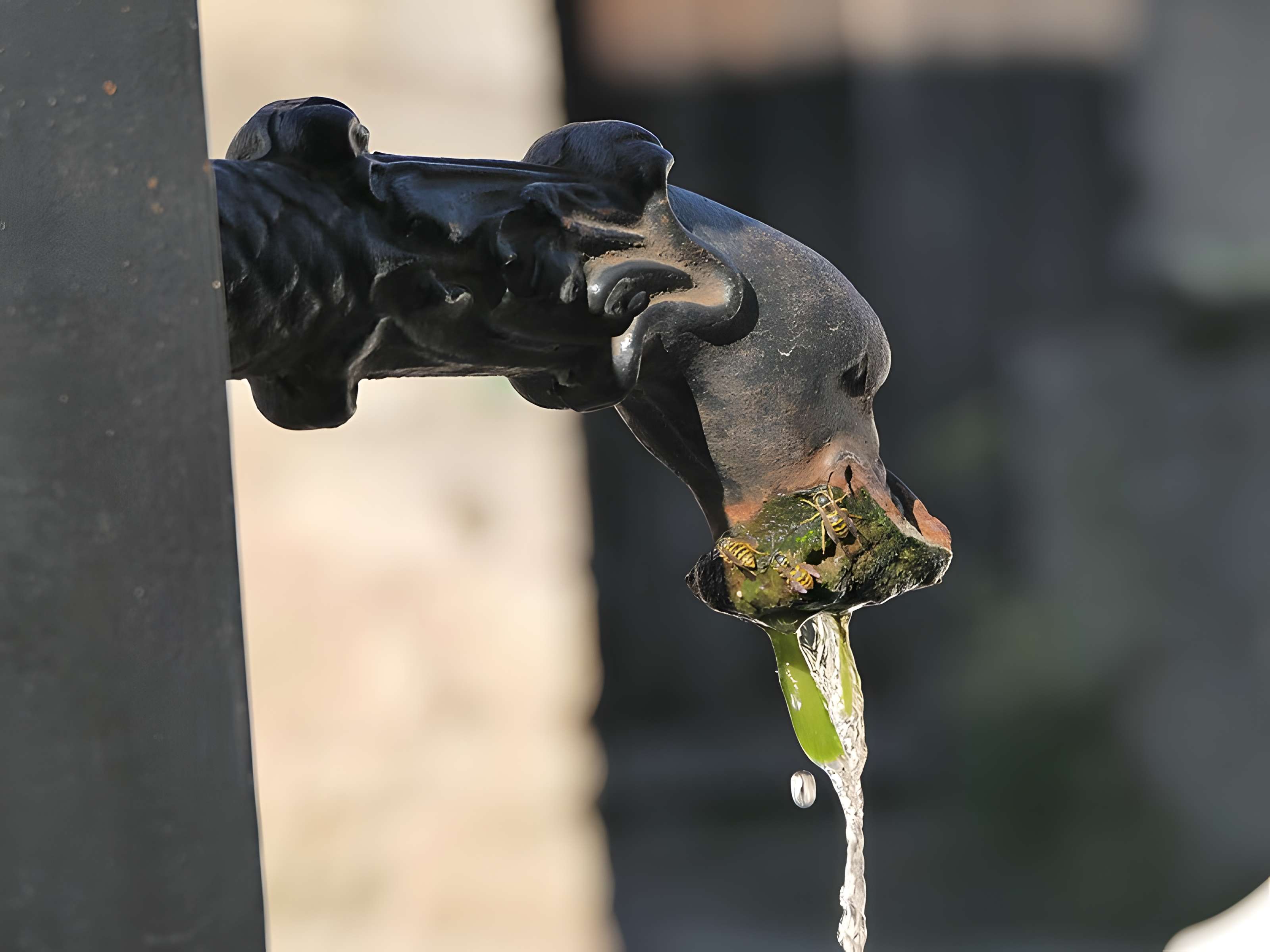 Mairie-lavoir de Beaujeu