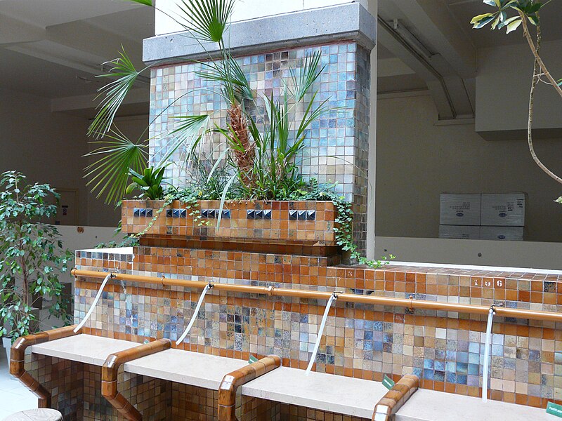 Thermes du Mont Dore