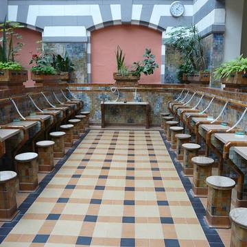 Thermes du Mont Dore