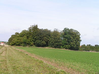 Photo de Tombeau de Théodoric à Poix