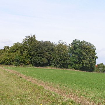 Tombeau de Théodoric à Poix