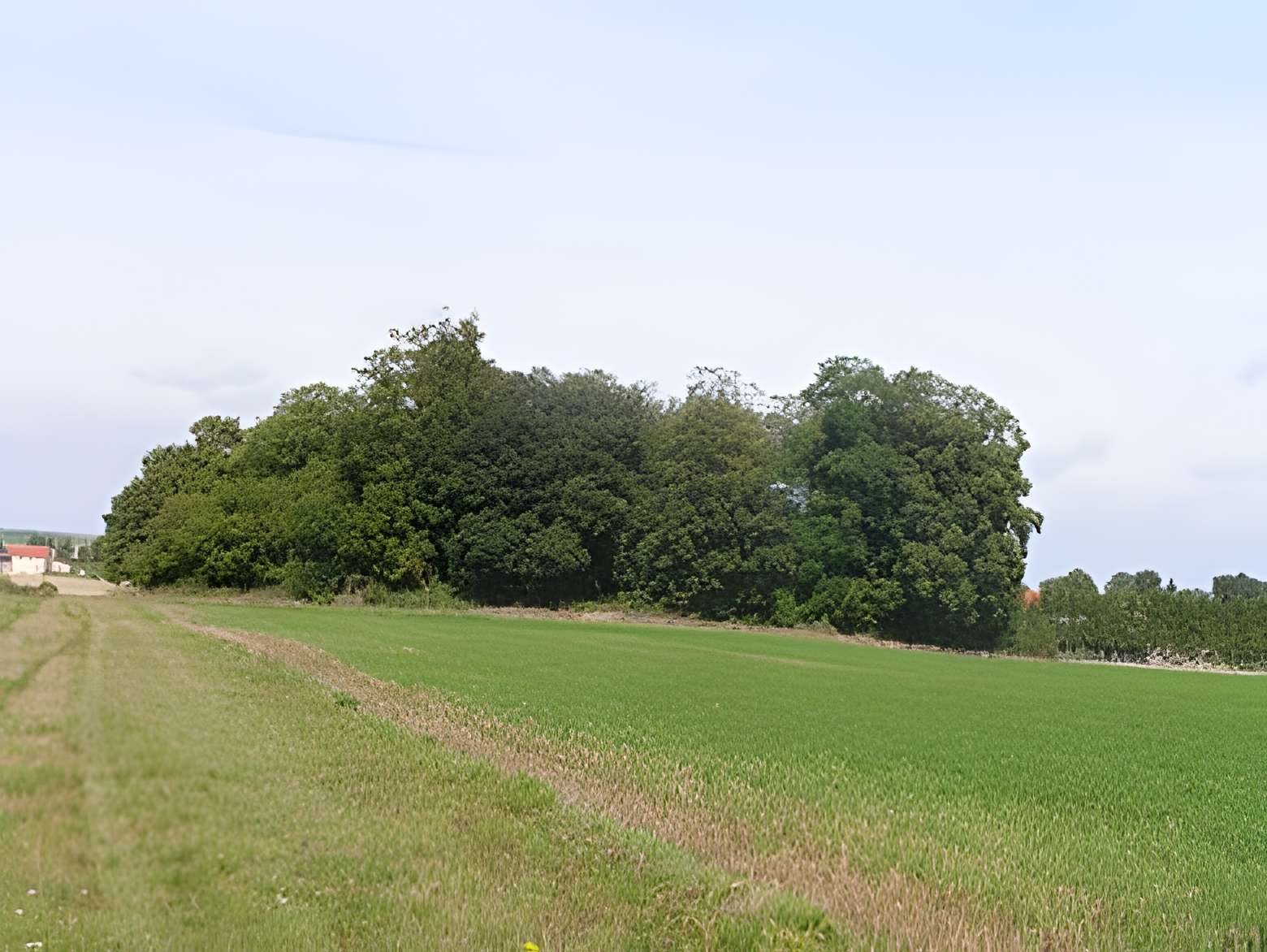 Tombeau de Théodoric à Poix 