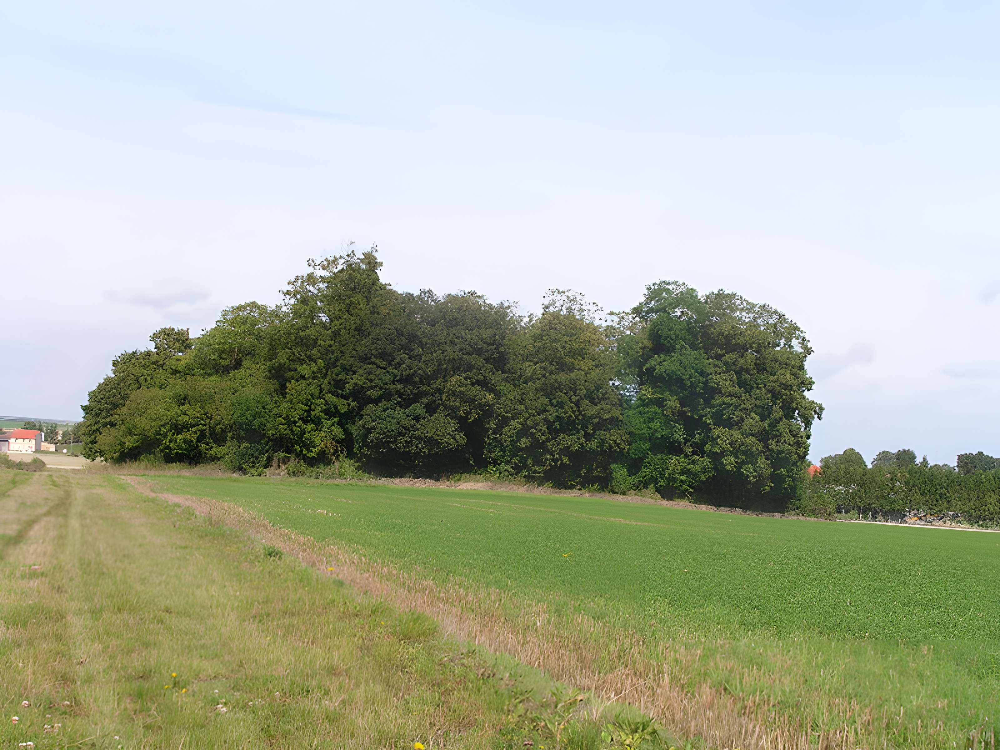 Tombeau de Théodoric à Poix