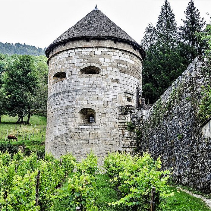 Photo de Tour dAndelot de Salins-les-Bains