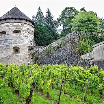 Tour dAndelot de Salins-les-Bains