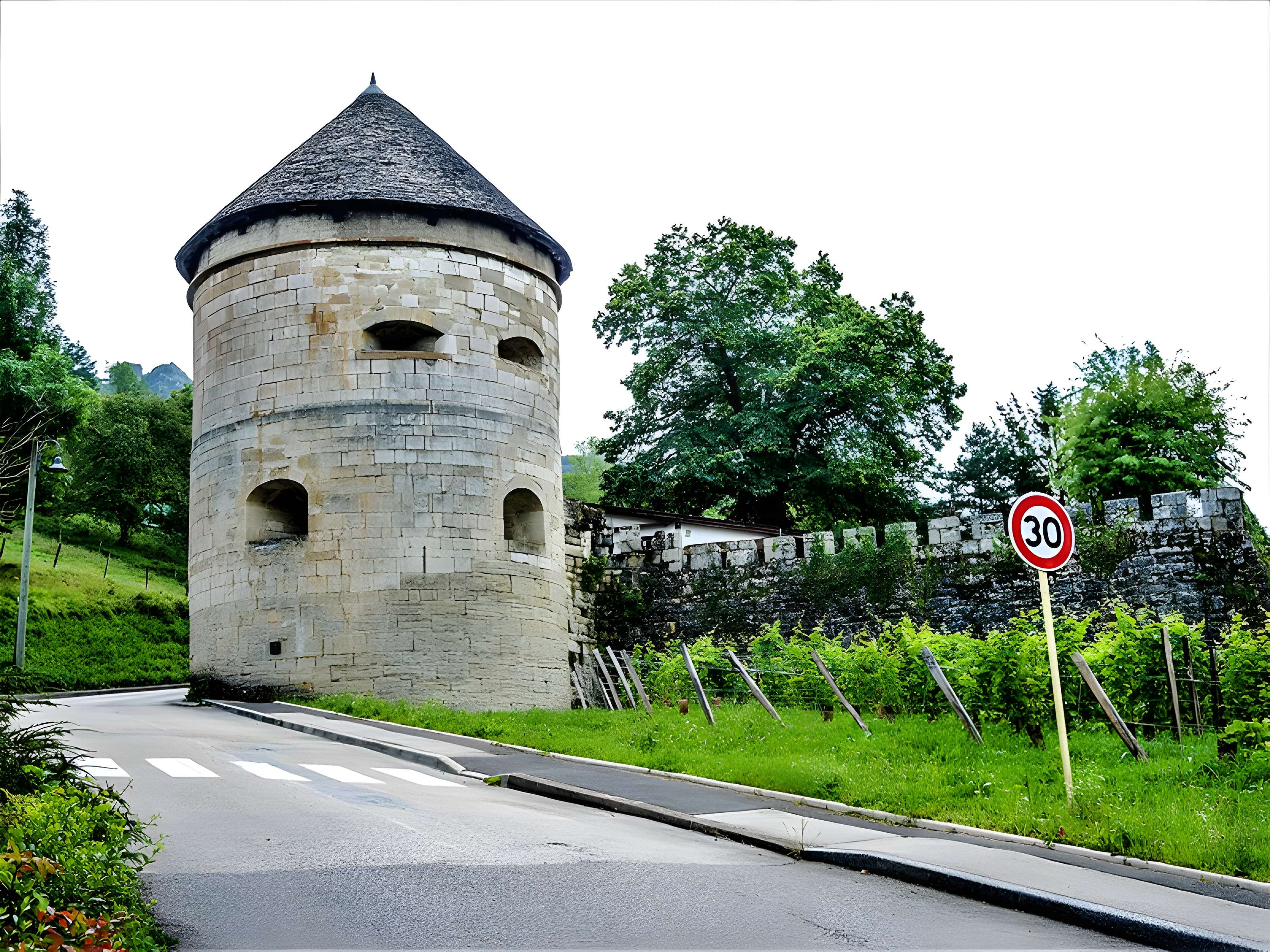Tour d'Andelot de Salins-les-Bains