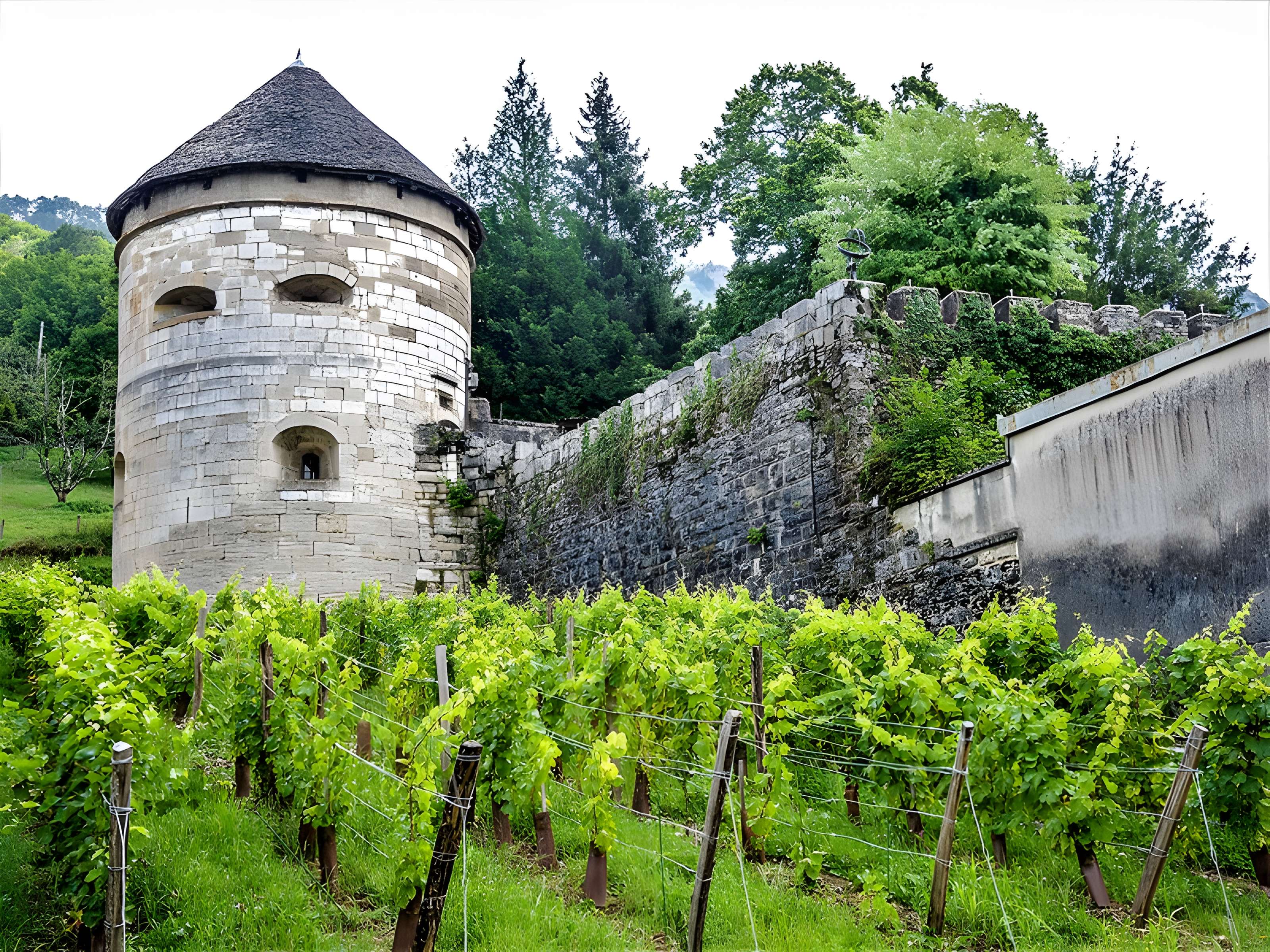 Tour d'Andelot de Salins-les-Bains