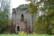 Photo de Tour de Bois-Ruffin d'Arrou