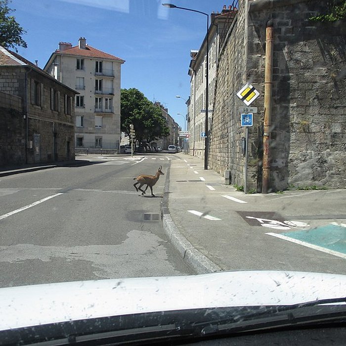 Photo de Tour de Bregille à Besançon
