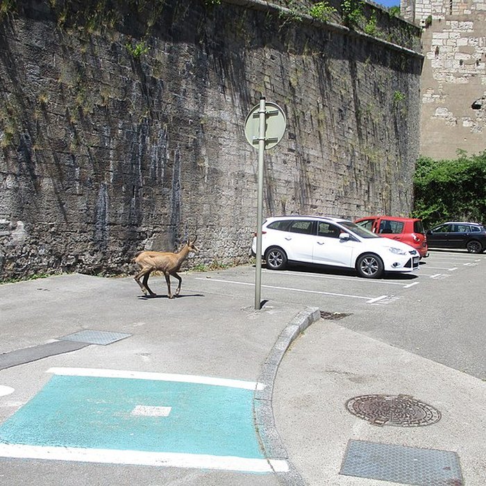 Photo de Tour de Bregille à Besançon