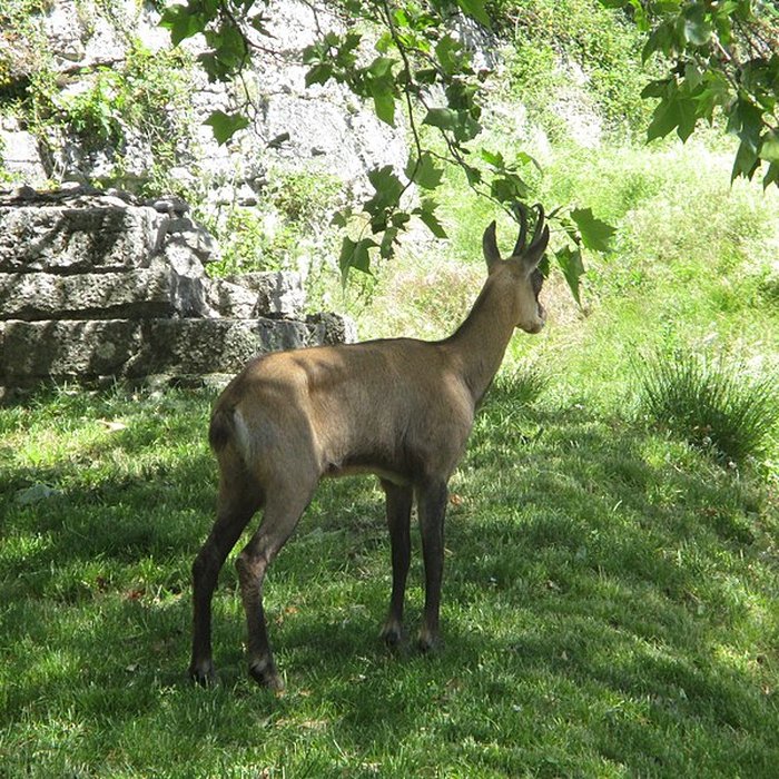 Photo de Tour de Bregille à Besançon