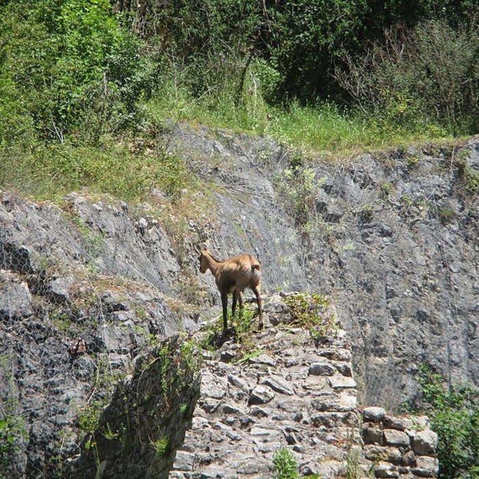 Photo de Tour de Bregille à Besançon
