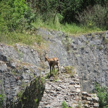 Tour de Bregille à Besançon