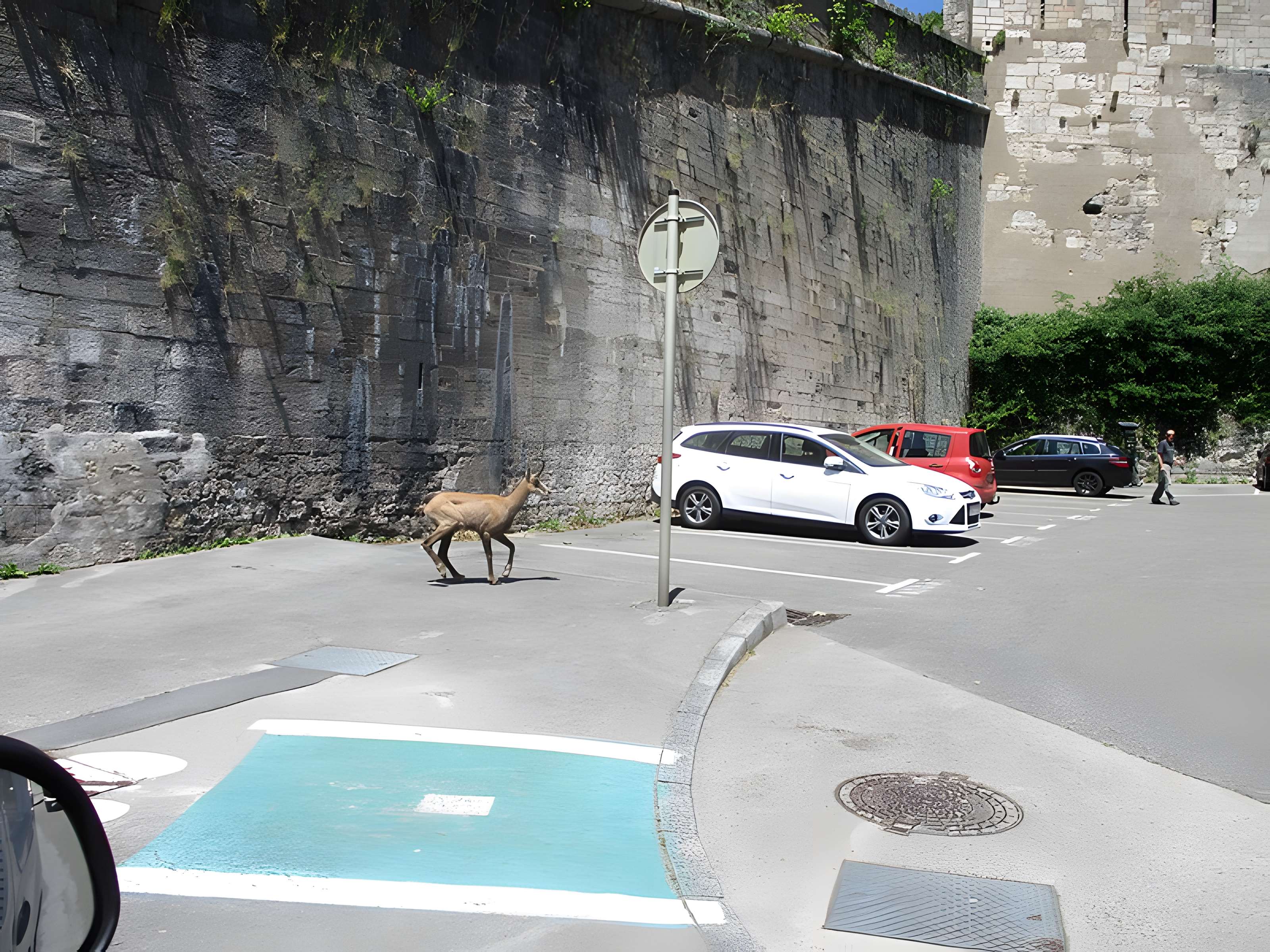 Tour de Bregille à Besançon