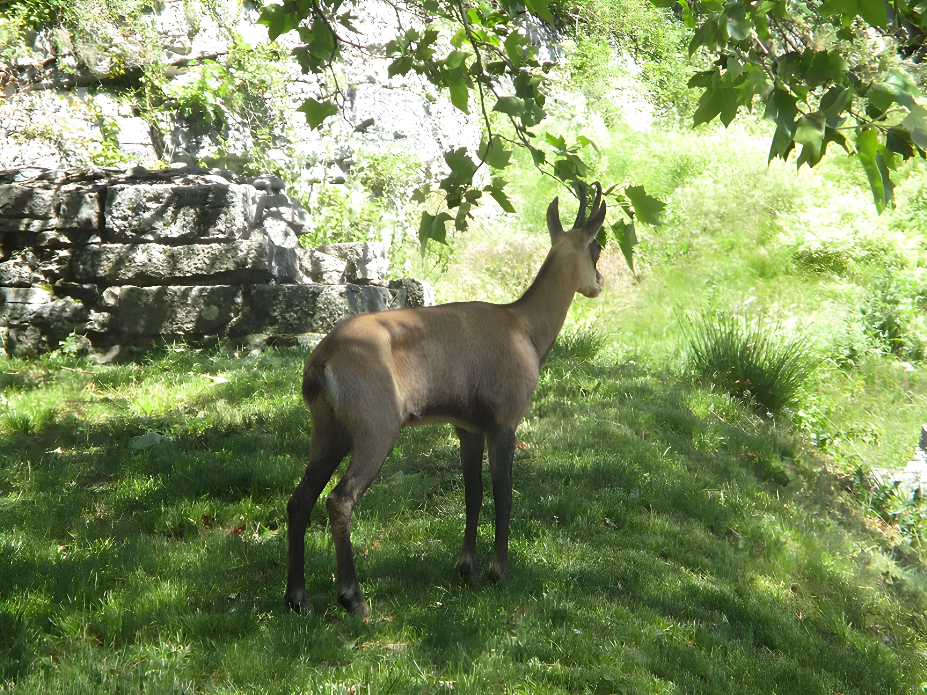Tour de Bregille à Besançon
