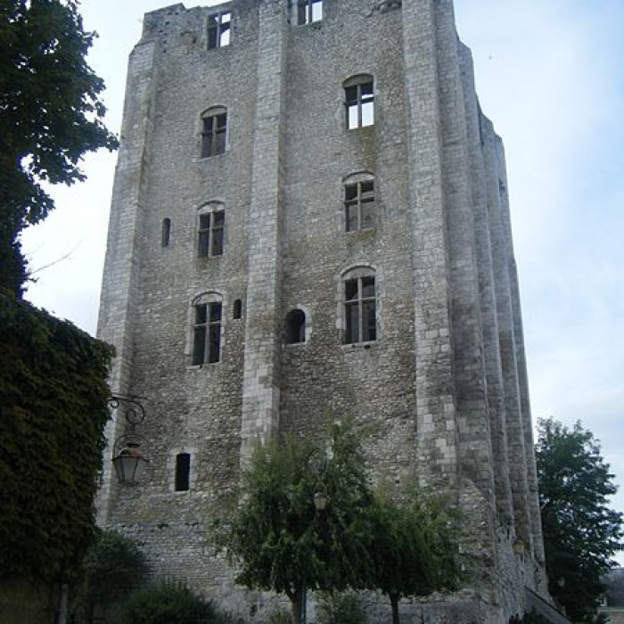 Photo de Tour de César à Beaugency