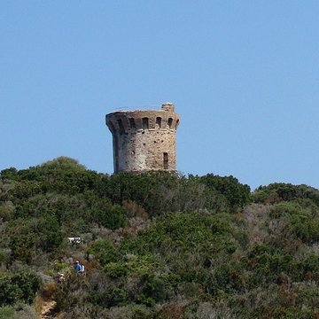 Tour de Faotea ou Fautea