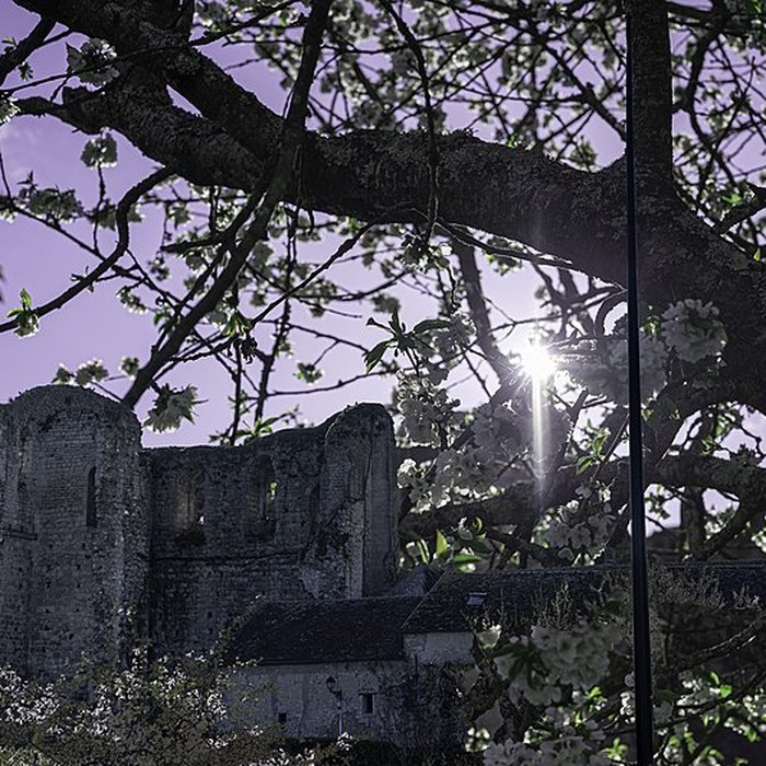 Photo de Tour de Ganne à Grez-sur-Loing