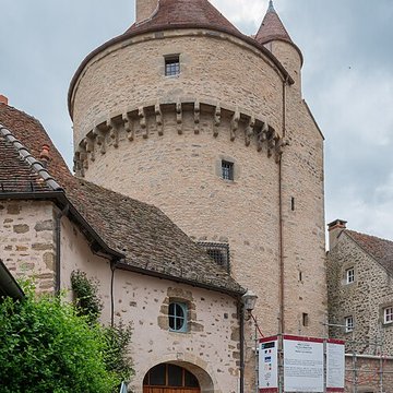Tour de la Motte-Forte dArnay-le-Duc