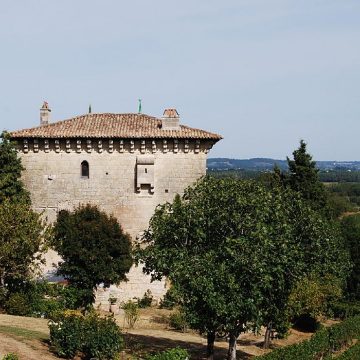 Photo de Tour de lAnsouhaite de Moulon