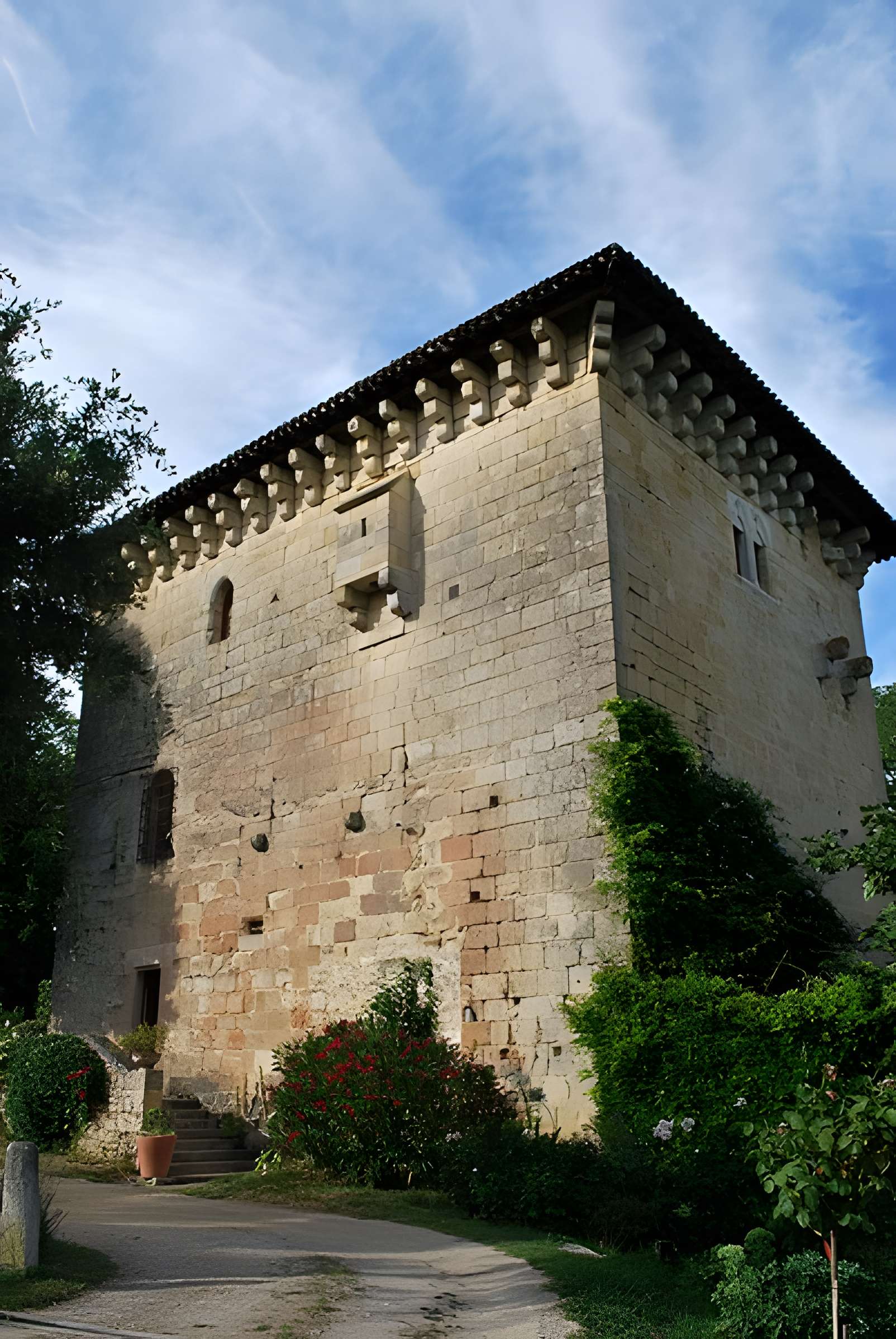 Tour de l'Ansouhaite de Moulon