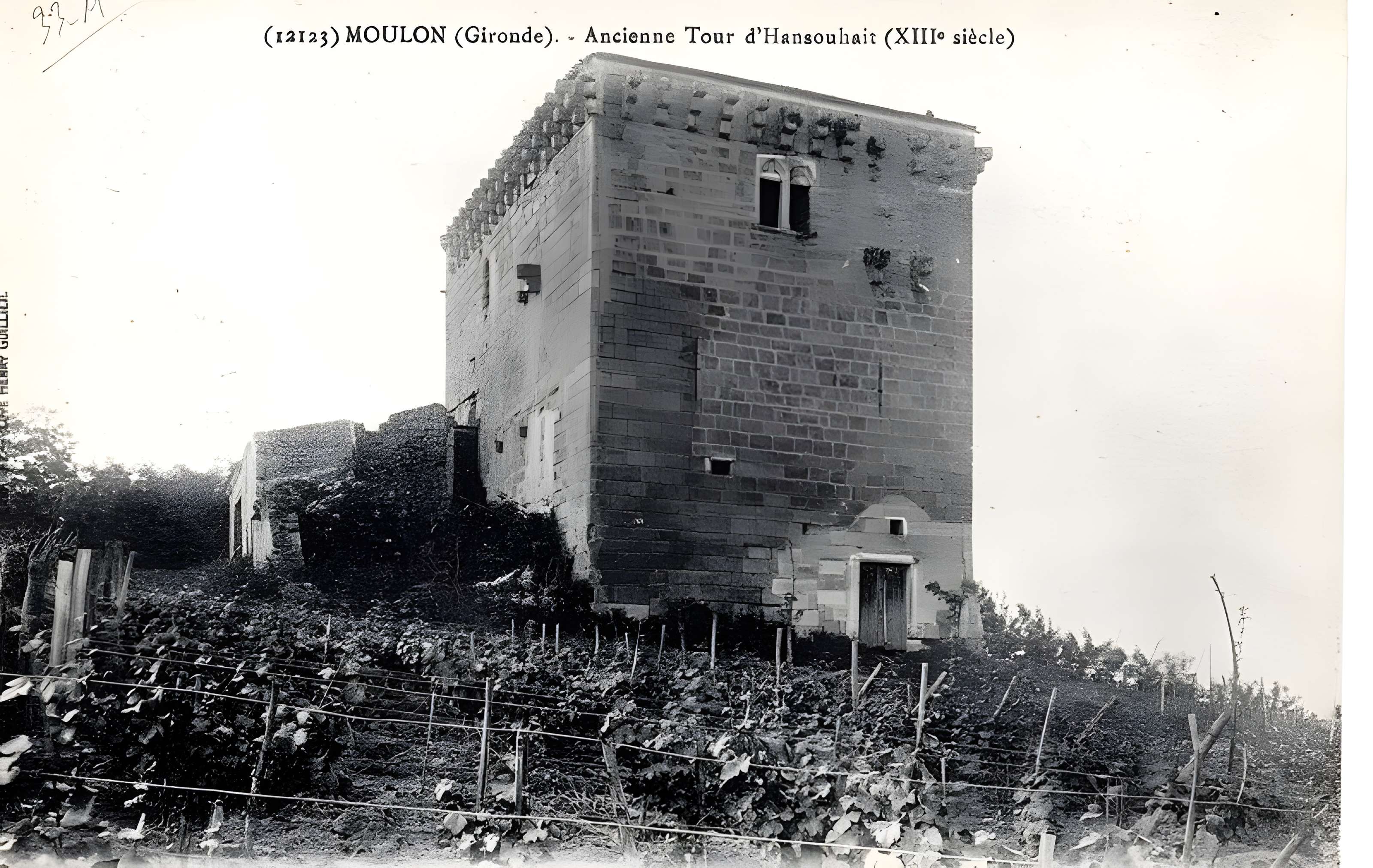Tour de l'Ansouhaite de Moulon