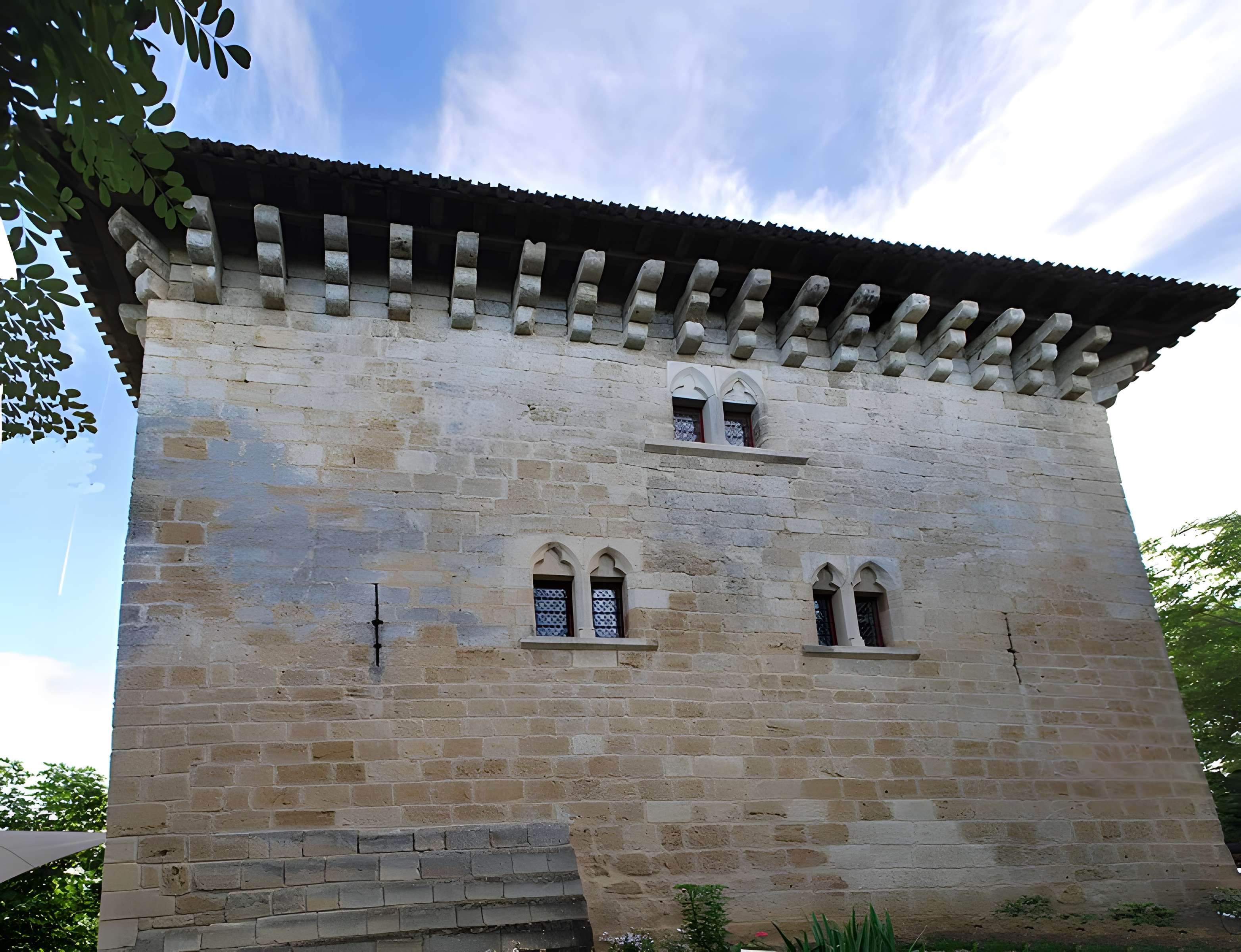 Tour de l'Ansouhaite de Moulon