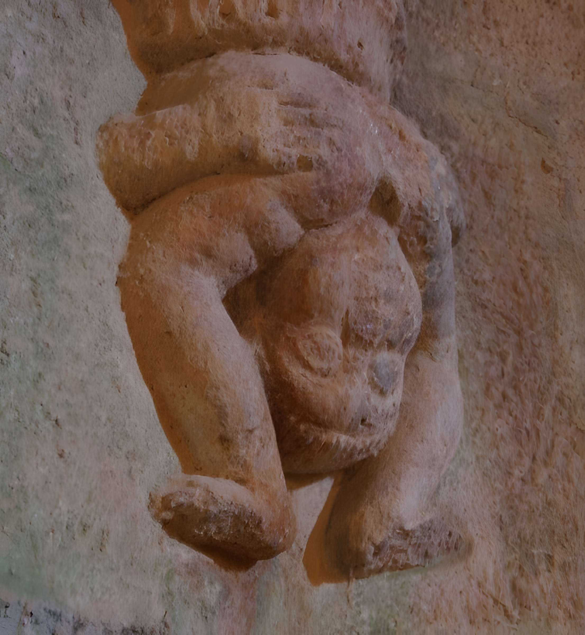 Tour de Navarre de Langres