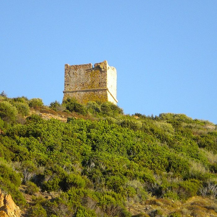 Photo de Tour de Pinarello ou dIsoli di Corsi