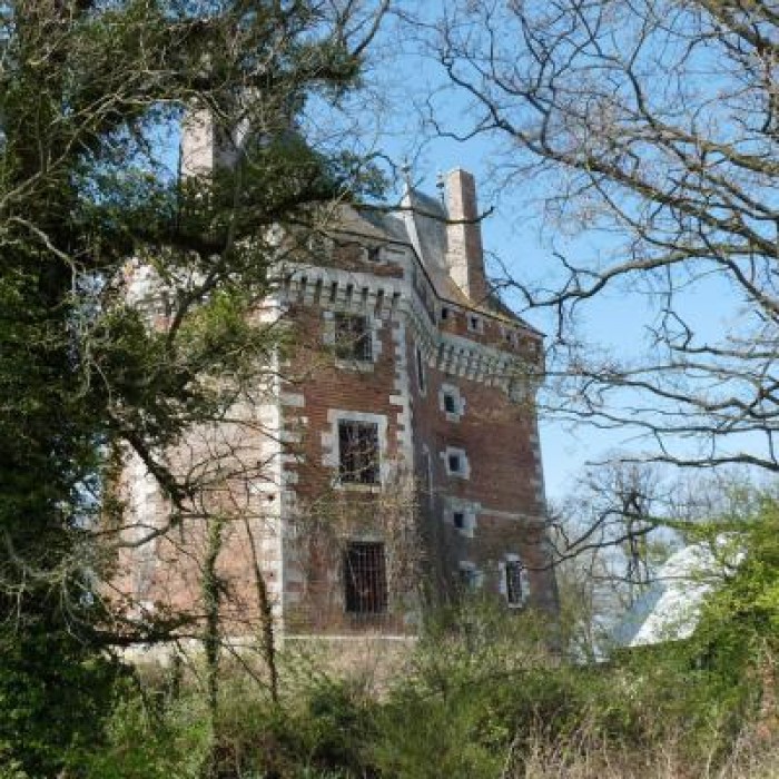 Photo de Tour de Thevray