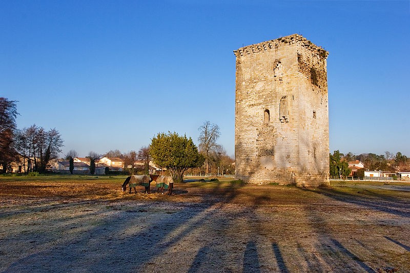Photo de Tour de Veyrines de Mérignac