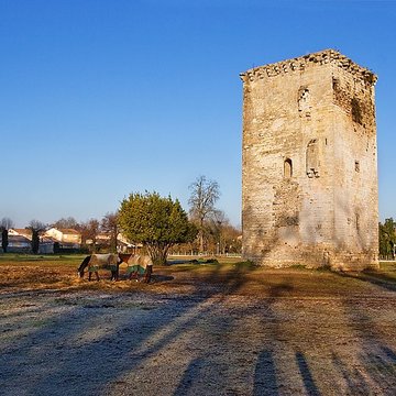 Tour de Veyrines de Mérignac