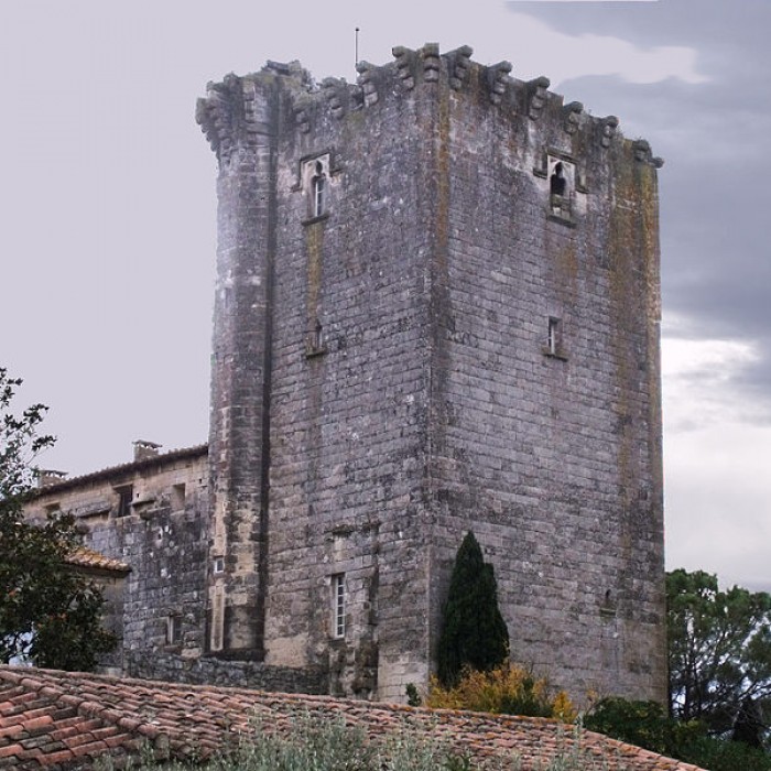 Photo de Tour des Abbés de Fontvieille