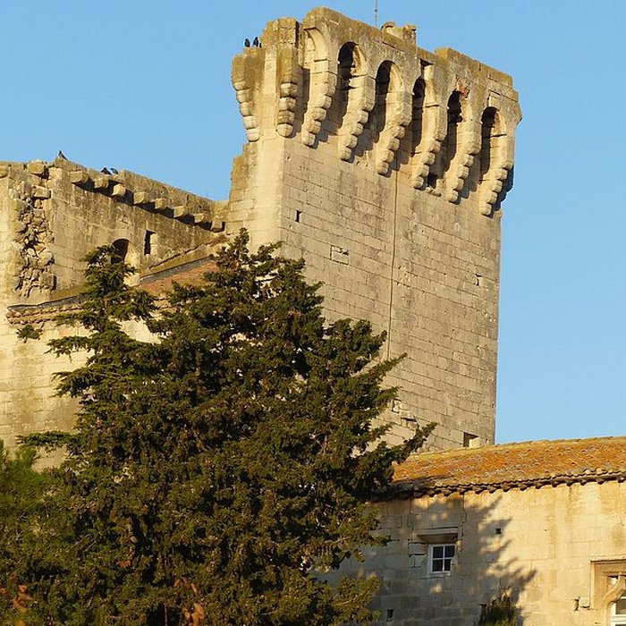 Photo de Tour des Abbés de Fontvieille