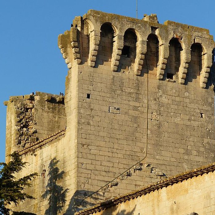 Photo de Tour des Abbés de Fontvieille
